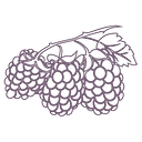 Wildberries